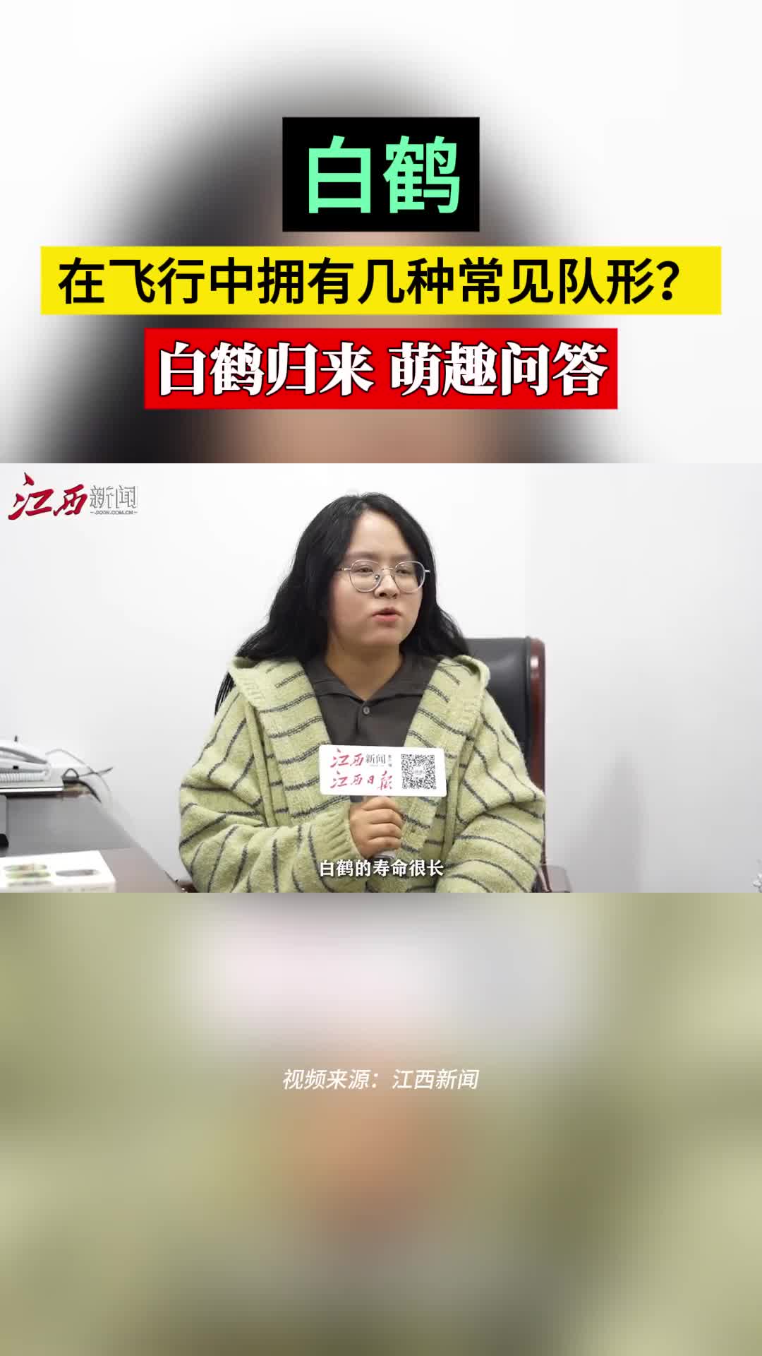白鹤在飞行中拥有几种常见队形？