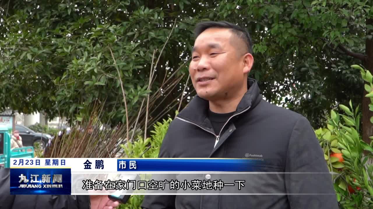 德安：春日苗木市场销售热