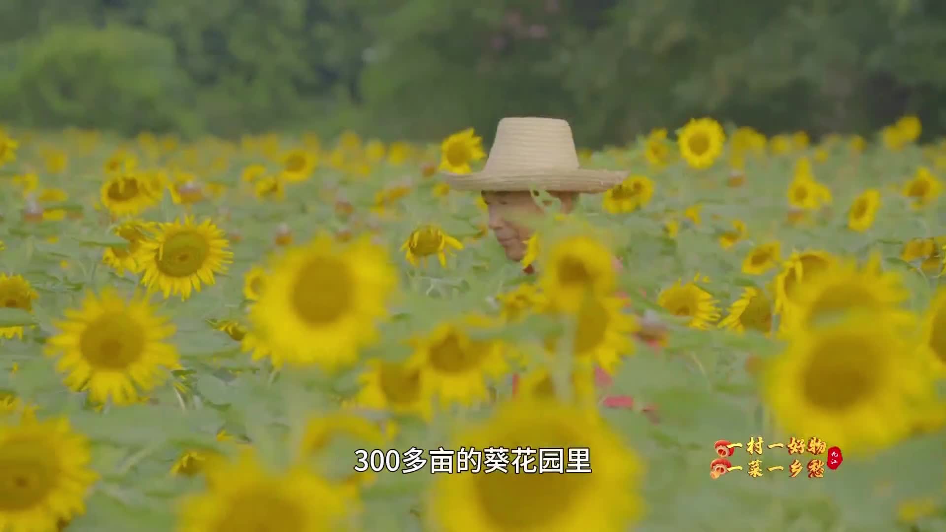 【一村一好物 一菜一乡愁】德安吊烧葵花鸡，好恰！