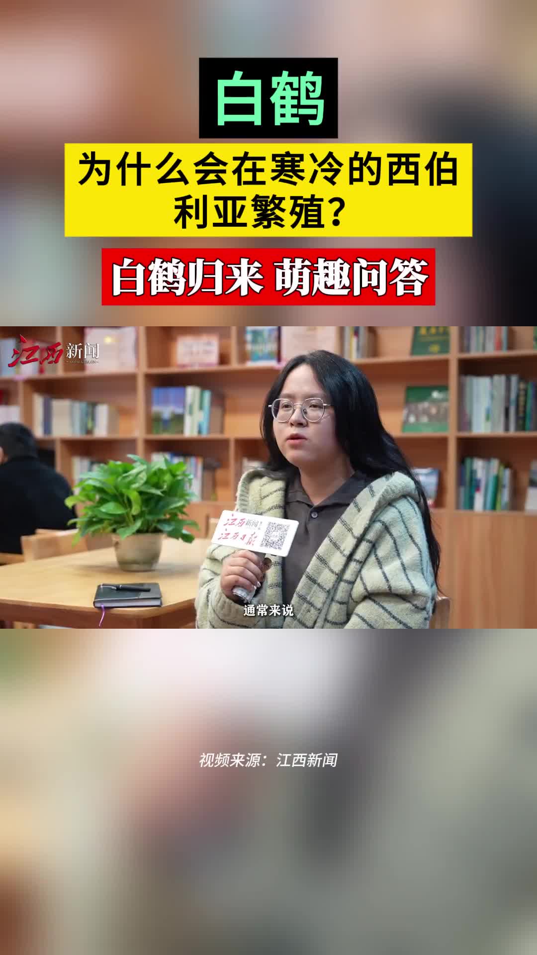 白鹤为什么在寒冷的西伯利亚繁殖？