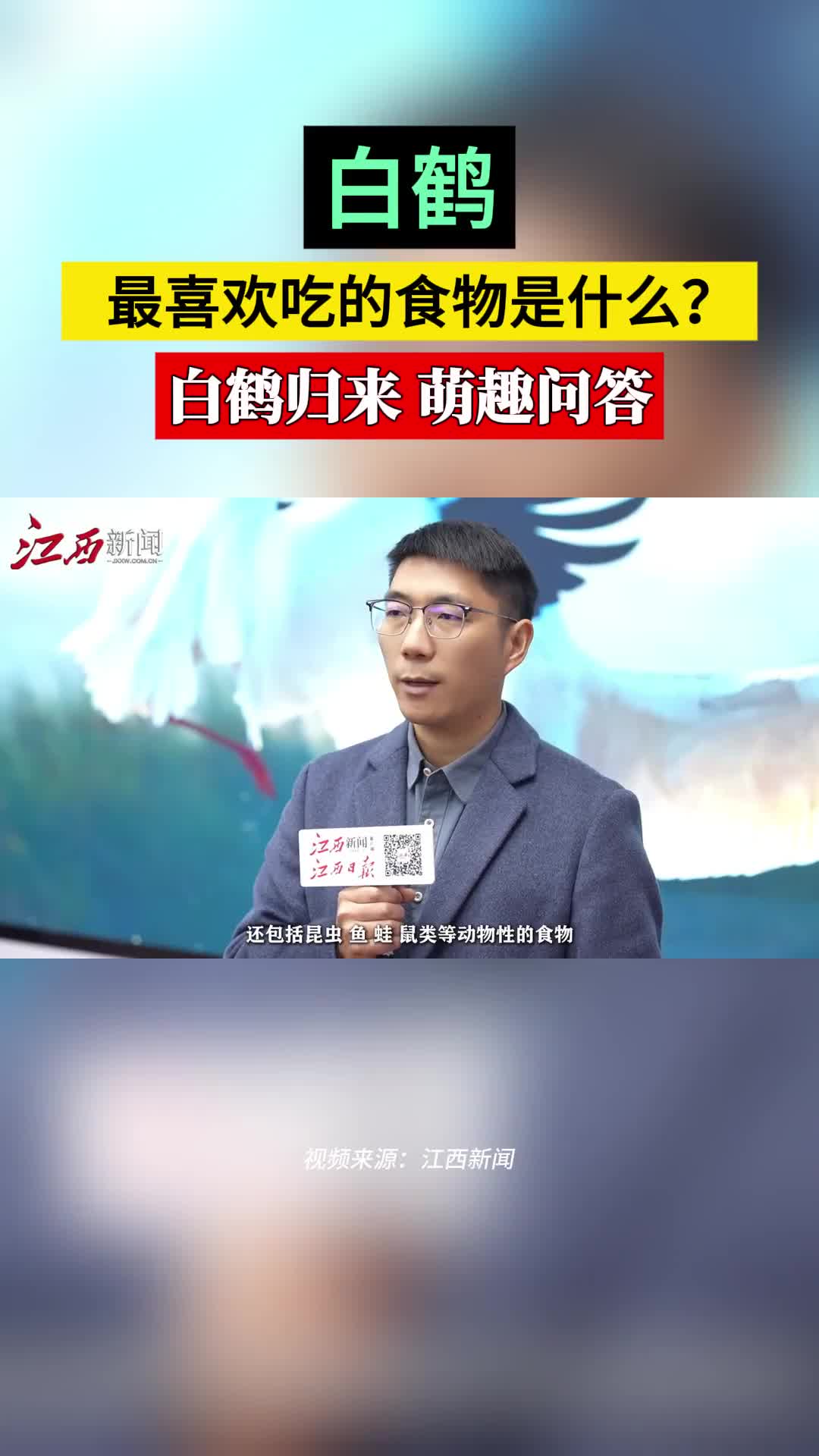 白鹤最喜欢吃的食物是什么？