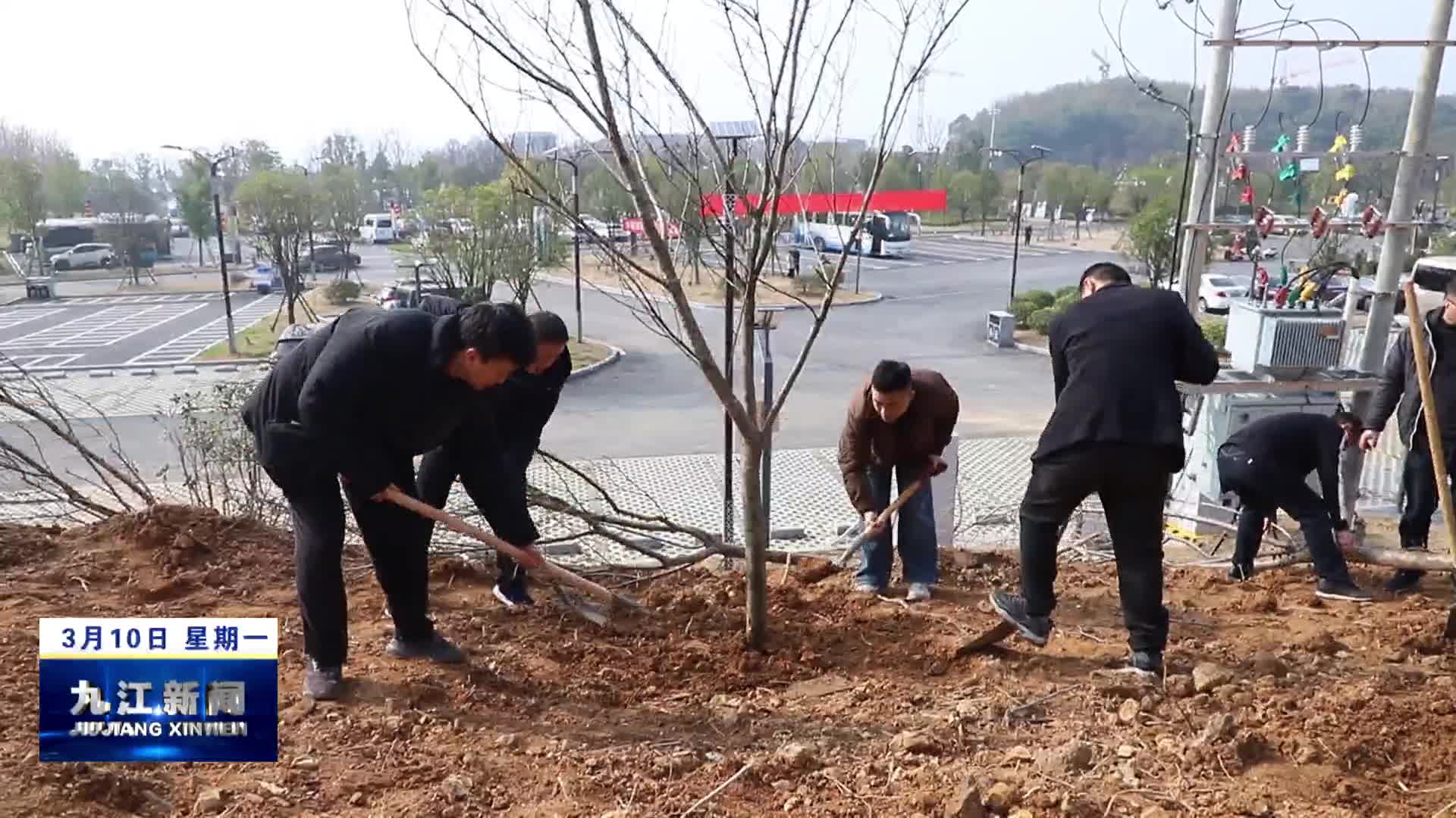湖口：开展义务植树活动 共绘绿色生态新画卷