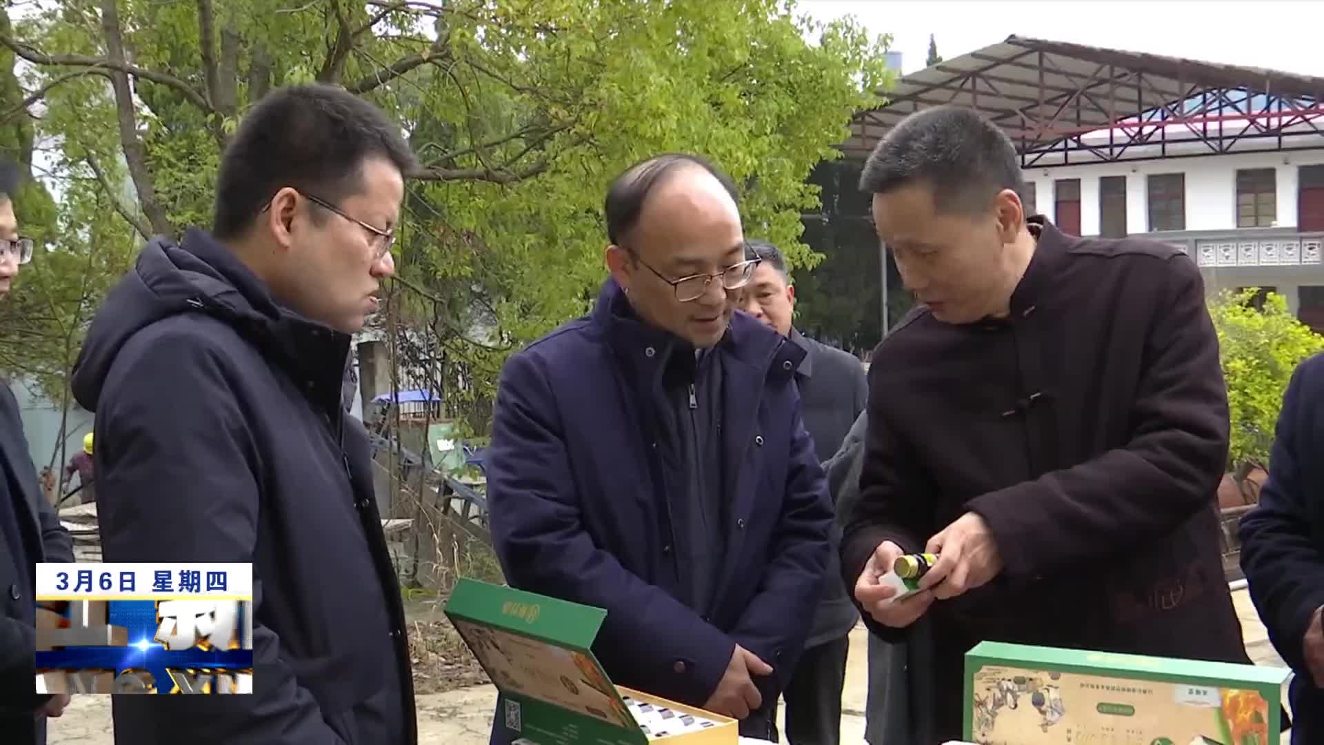 省林业局领导到德安县调研林业工作