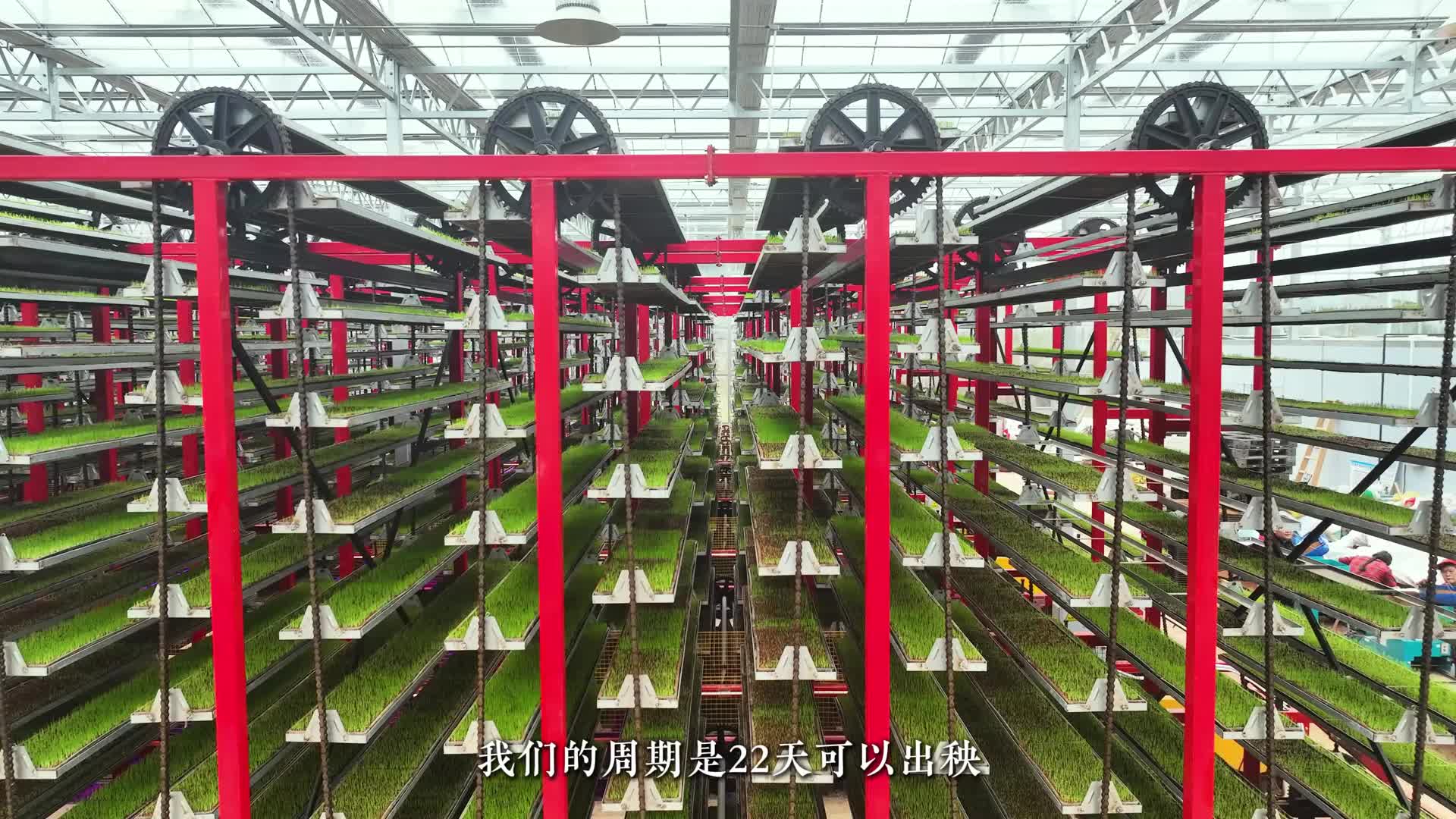 南康：智能化育秧工厂让春耕跑出“加速度”！