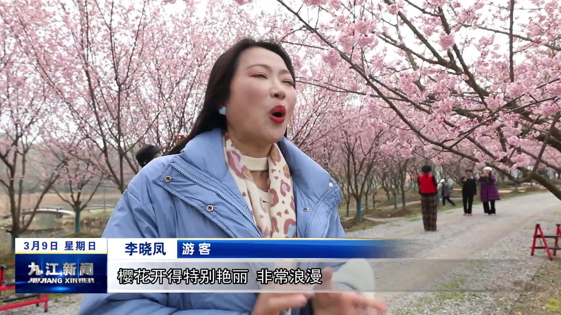 武宁：三月春光好 游人踏青来