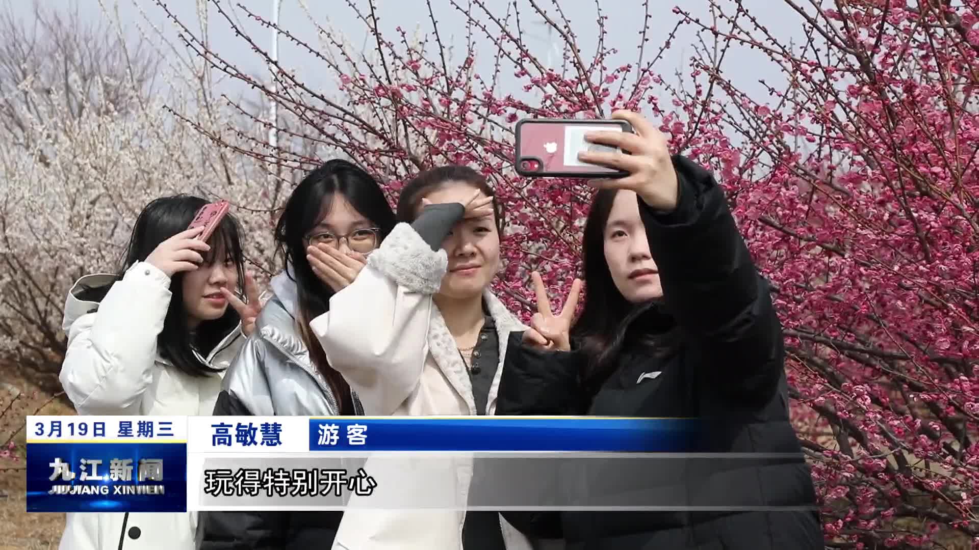 彭泽：千亩梅花绽放 春日经济“花”样多