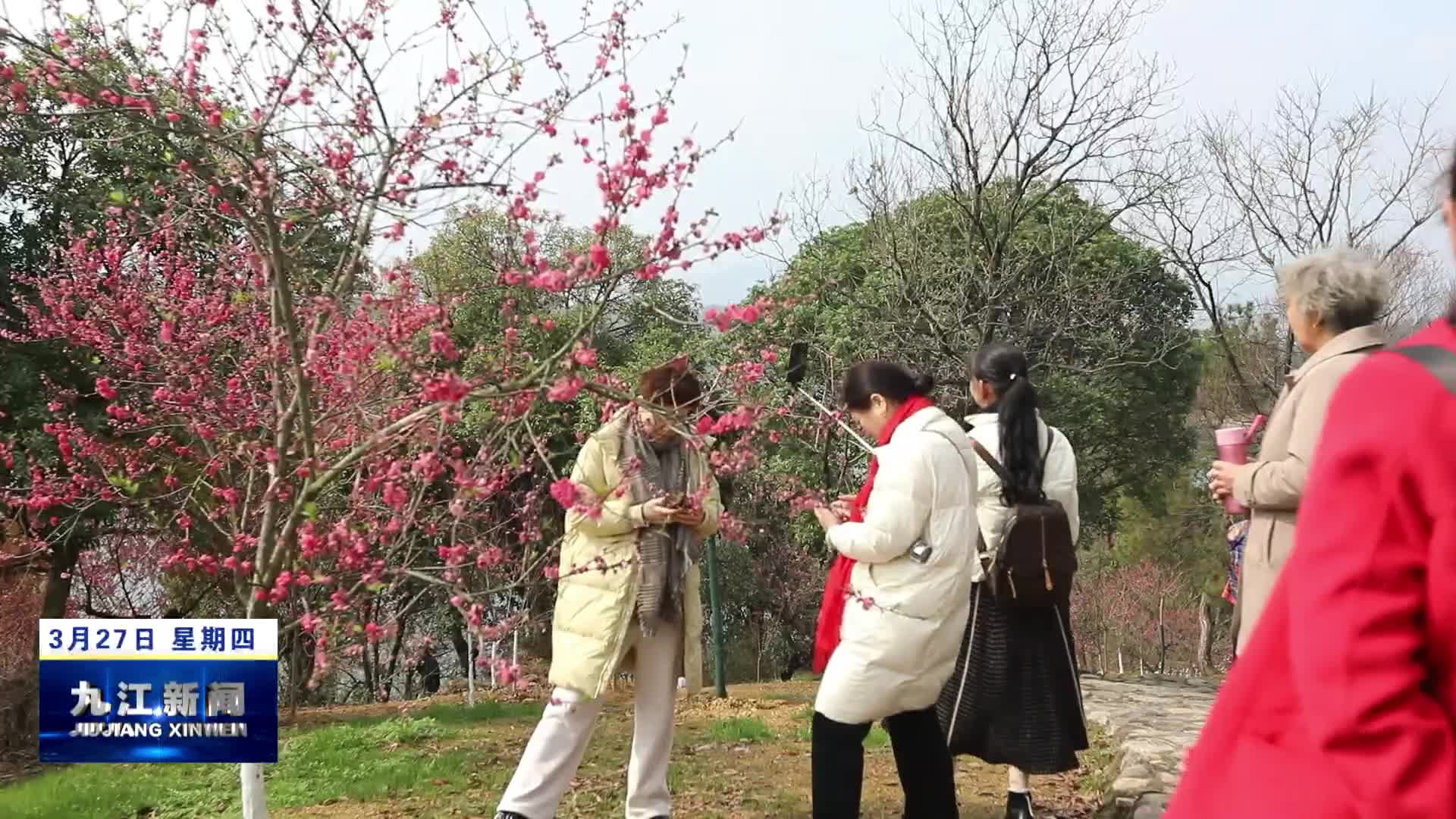 武宁：繁花绘就“春日经济”新图景 农旅融合激活乡村动能