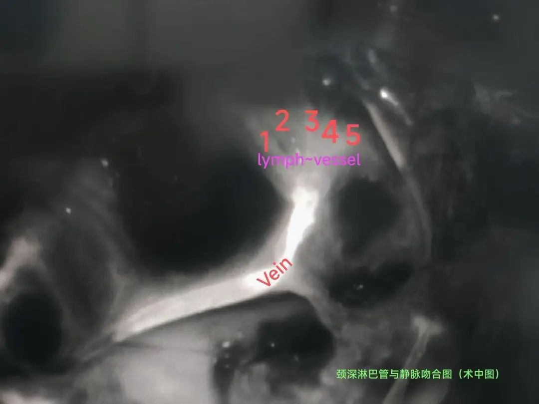 守护记忆关爱认知，九江市中医医院开设记忆门诊