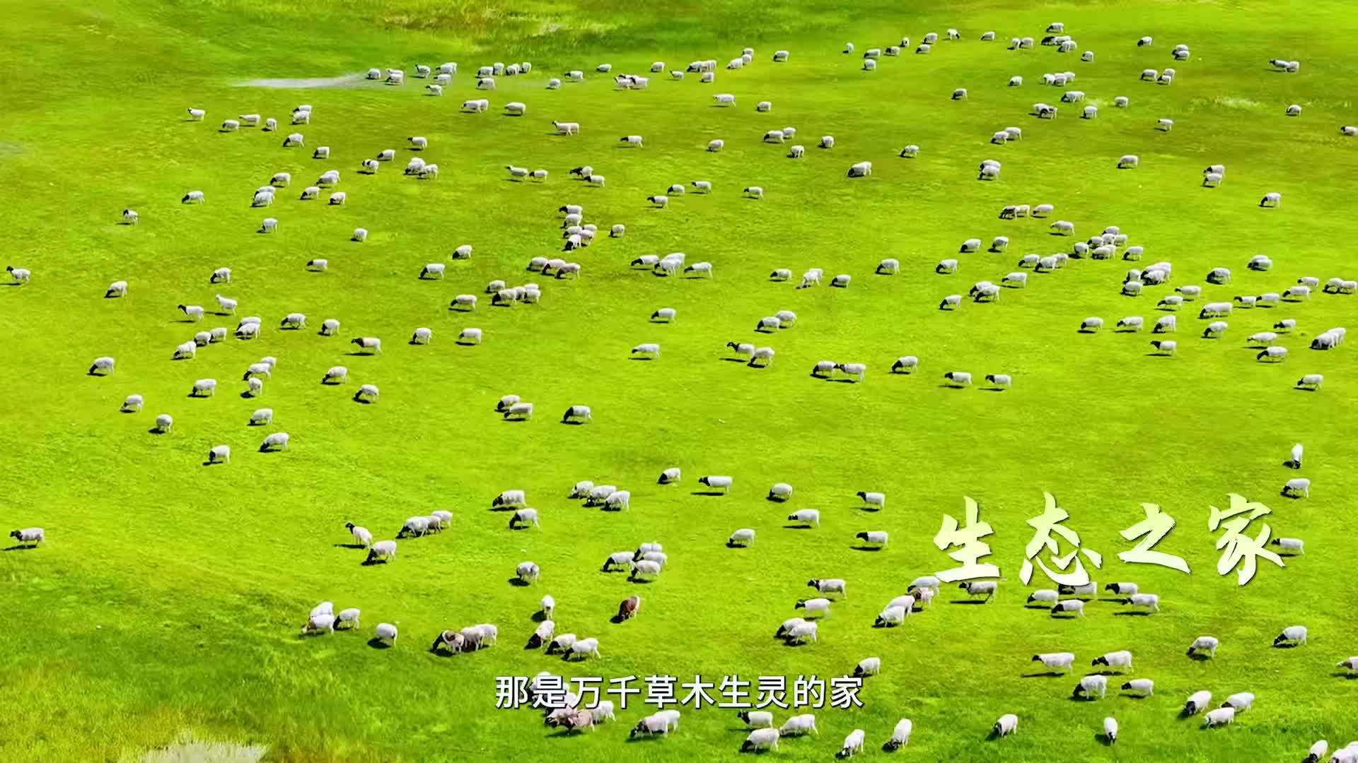 让我们一起守牢18亿亩耕地红线，端牢中国饭碗！