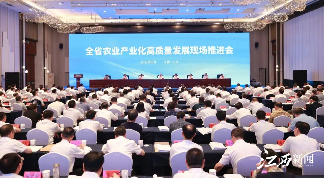全省农业产业化高质量发展现场推进会在我市召开，尹弘讲话，叶建春主持