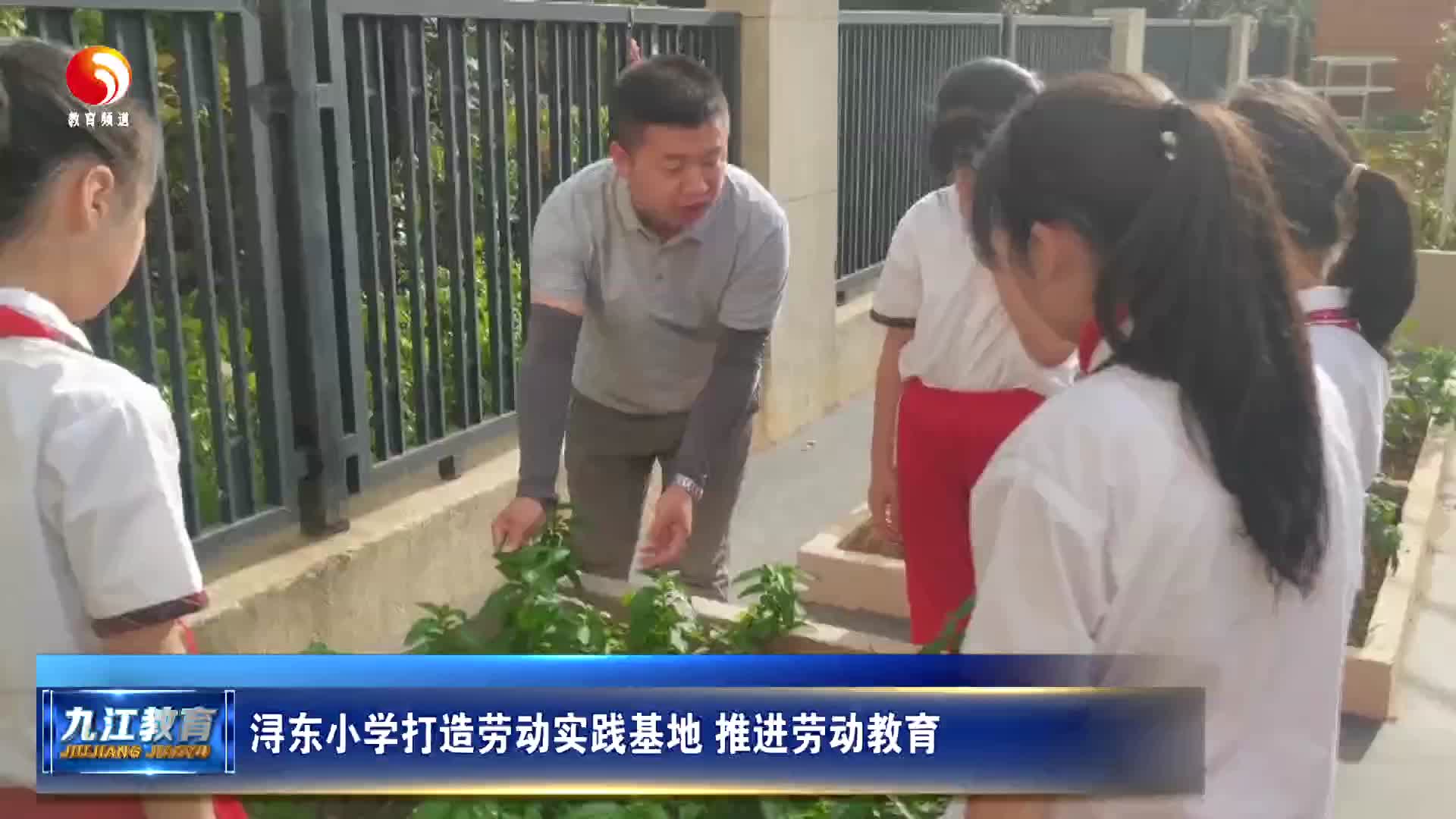 浔东小学打造劳动实践基地 推进劳动教育