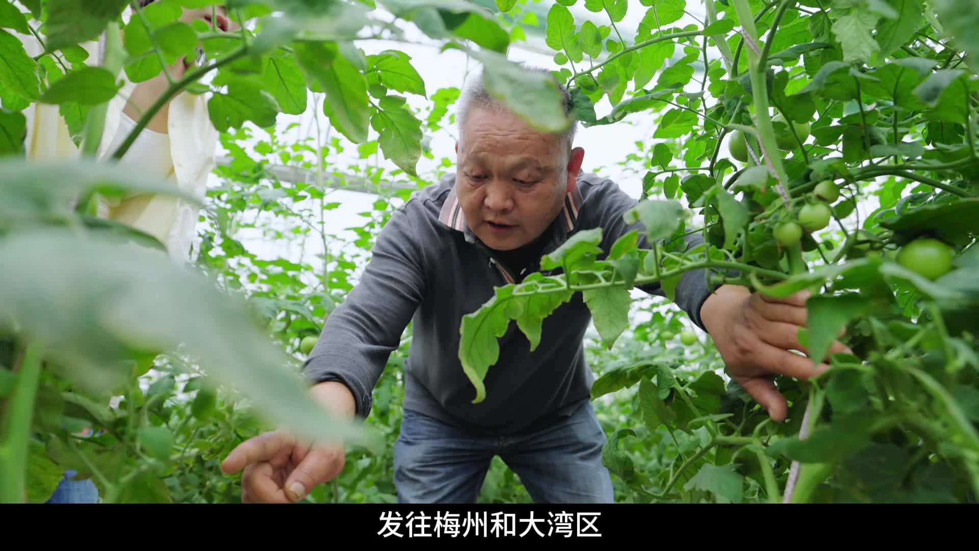 来寻乌岗背村，遇见琐碎日常里的幸福~