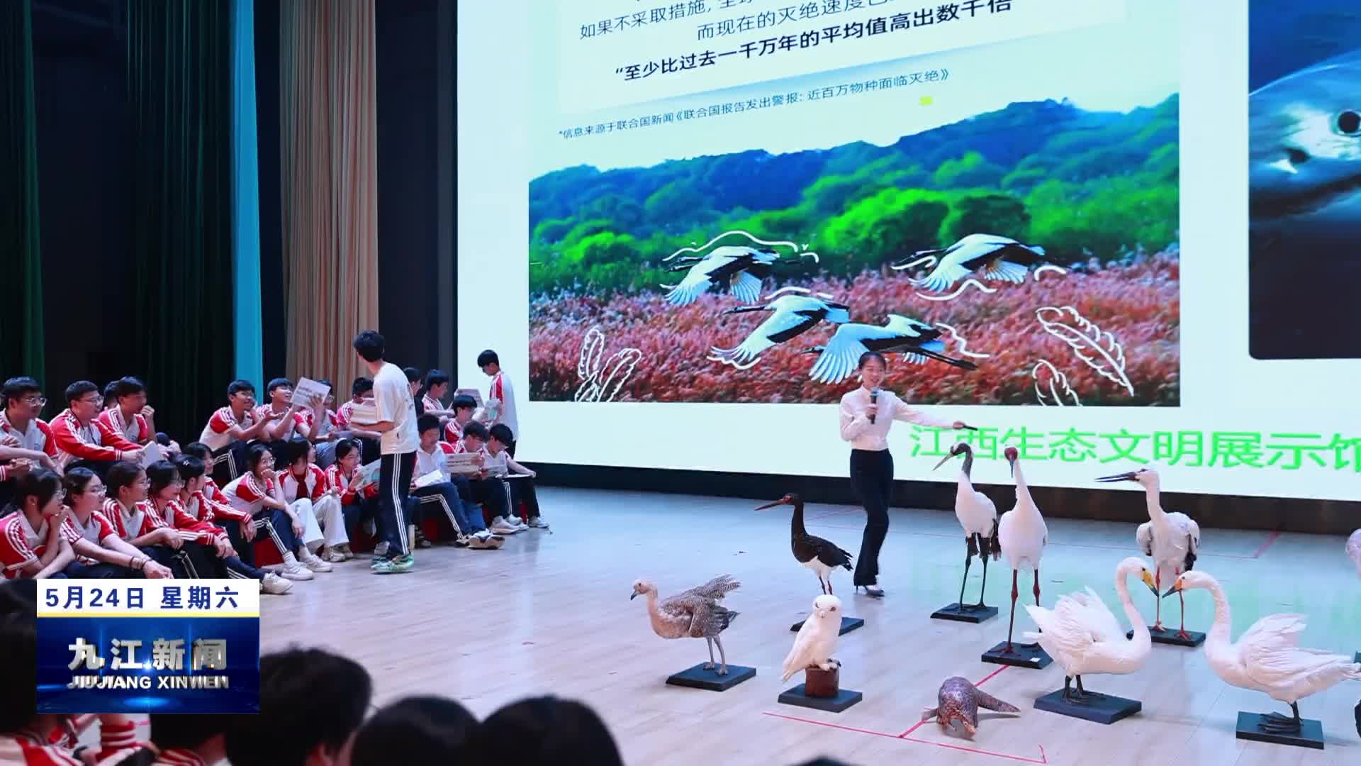 守护万物共生 共绘和美画卷