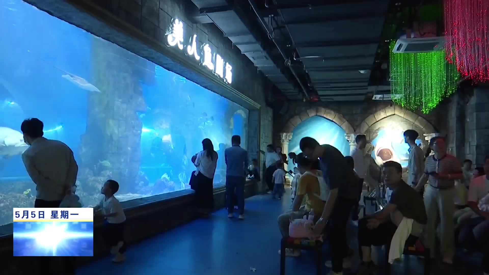 九江海底世界：日均客流量达到15000人次