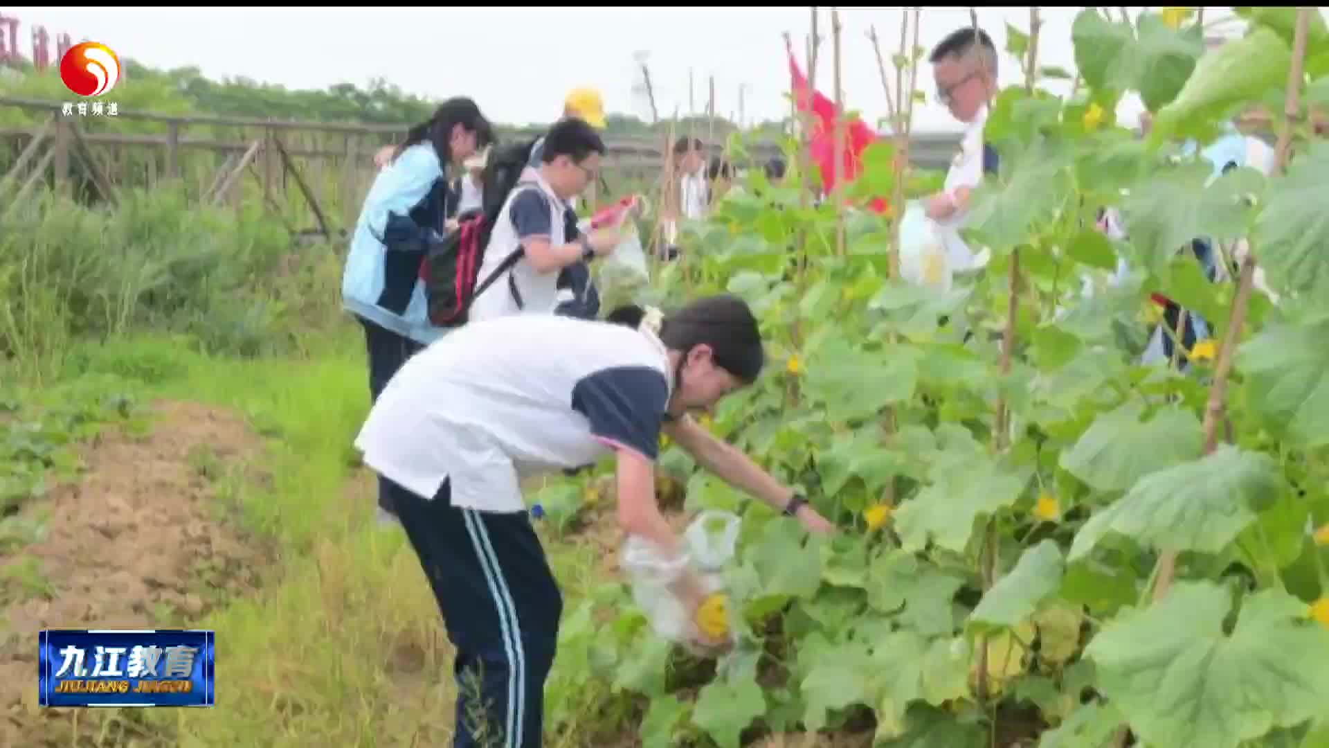 九江市第三中学开展研学实践教育活动