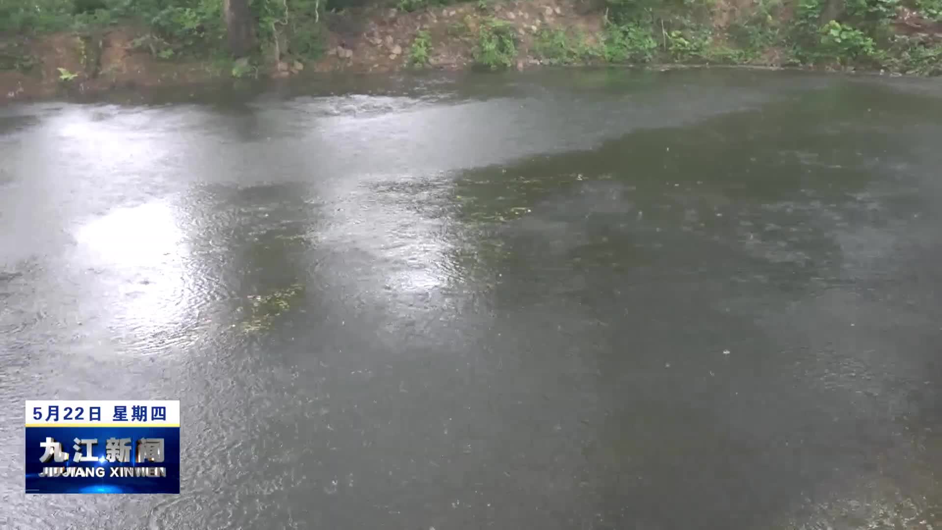 市领导到庐山西海调研