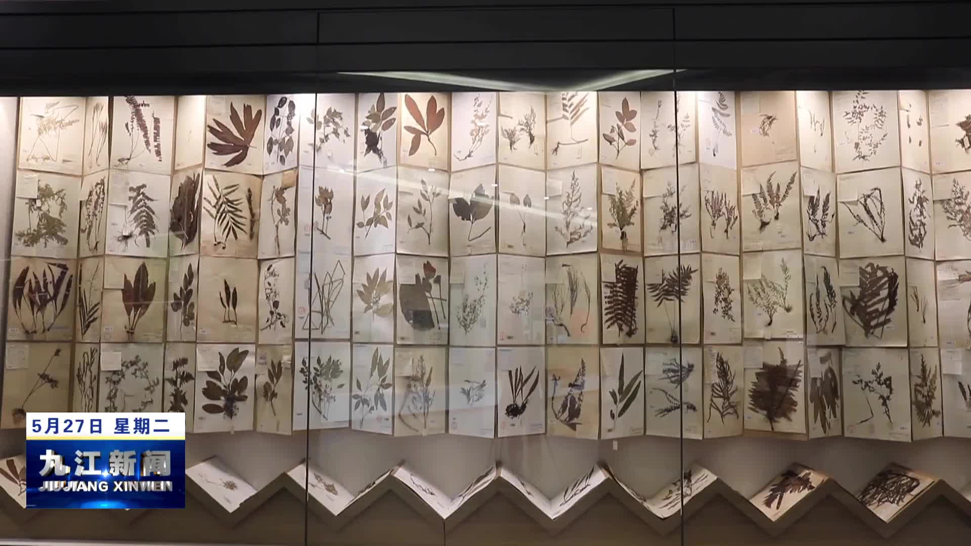 九江科技活动周小记者研学之旅圆满收官