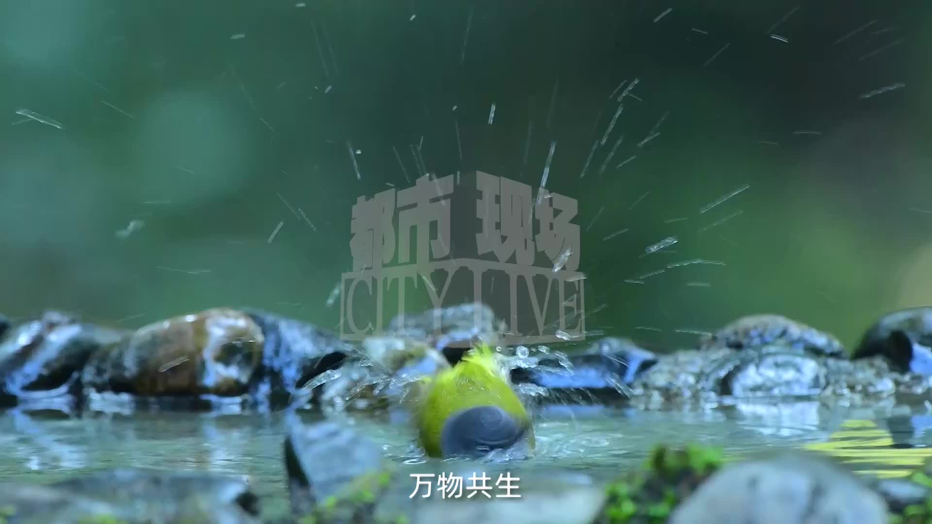 江西山水间，叩问“多”的生态答案