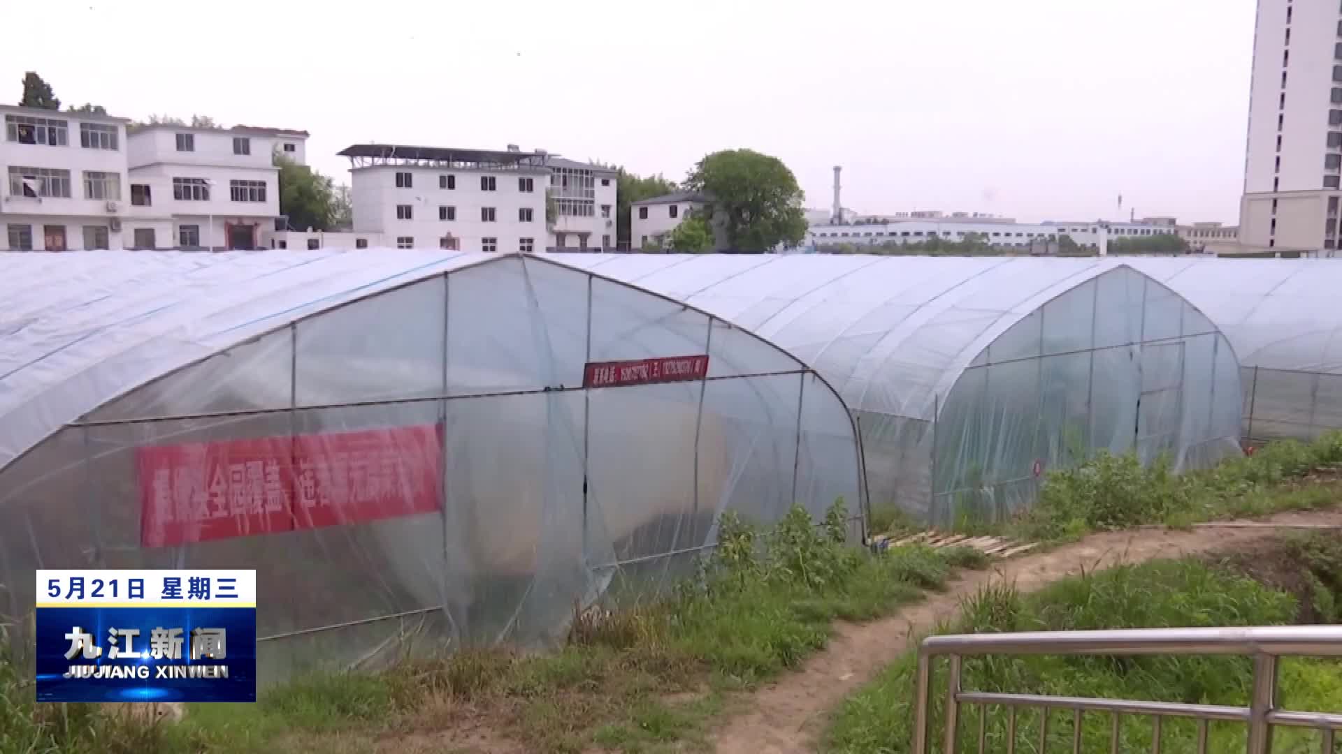 【中国梦·劳动美】余炉：扎根乡村谱写奉献之歌