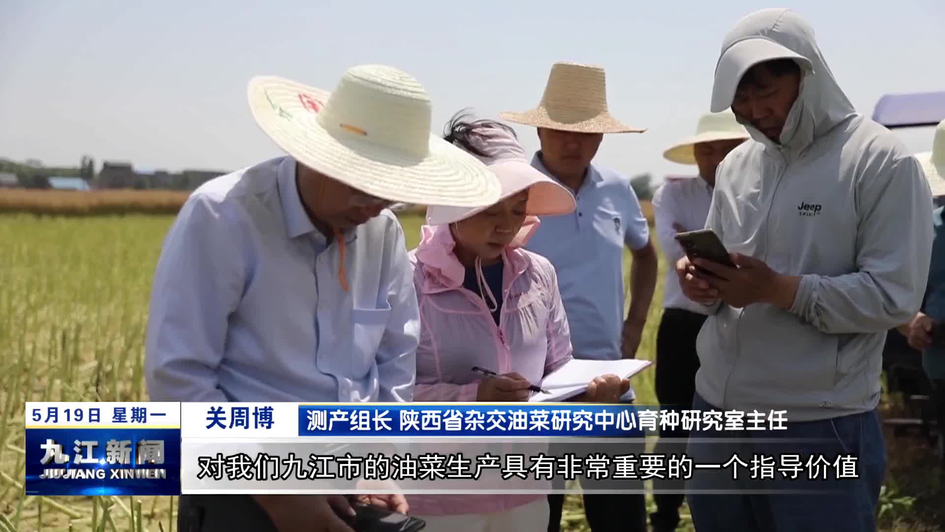 九江：170多万亩油菜陆续收割