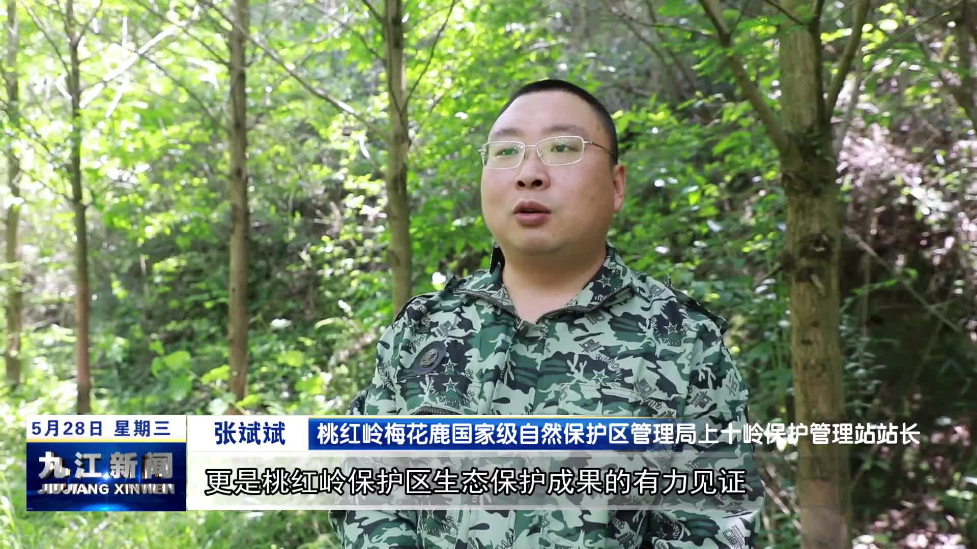 罕见！国家一级、“三有”野生保护动物同框出镜