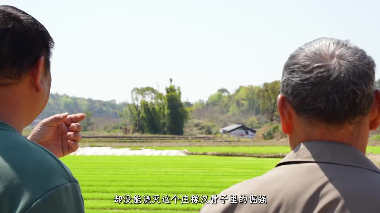 交棒