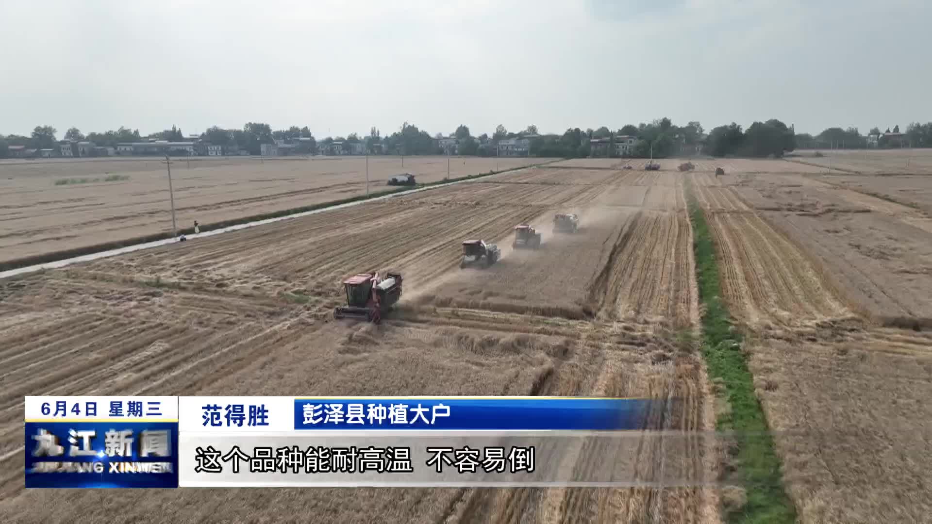 彭泽：5万余亩小麦喜开镰 秸秆回收变"绿金"