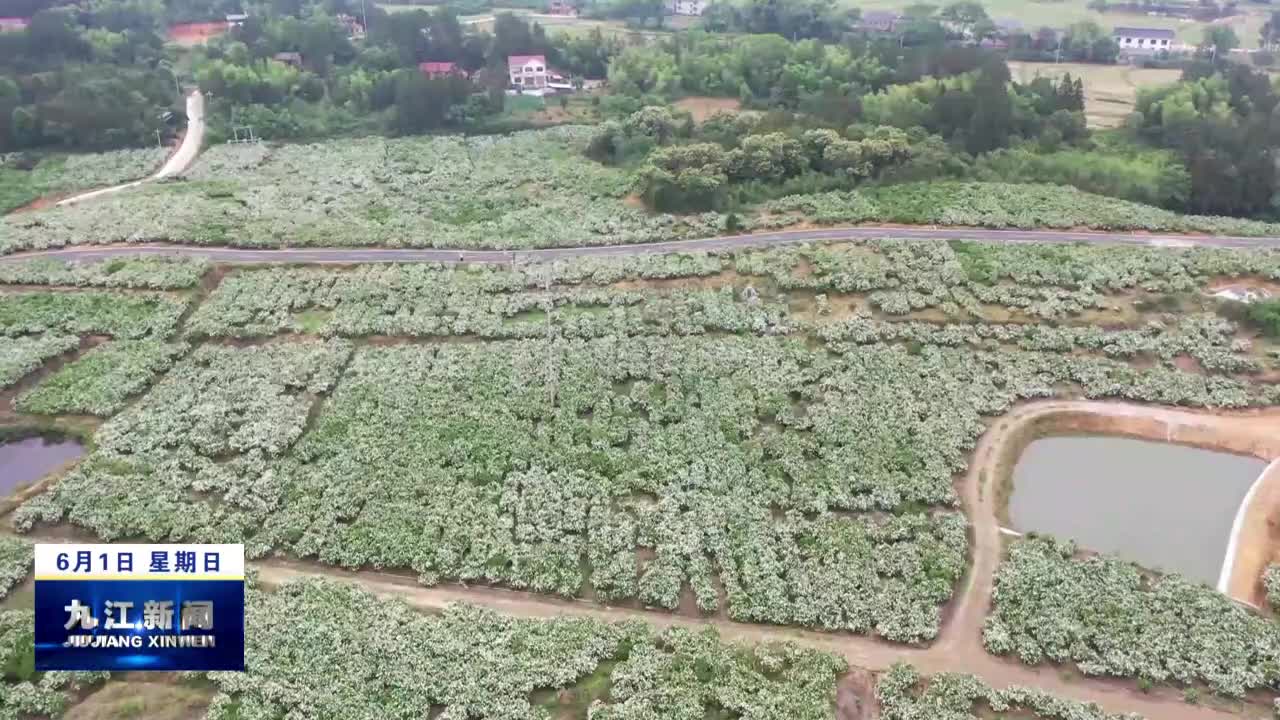 端午出游 乐享假期