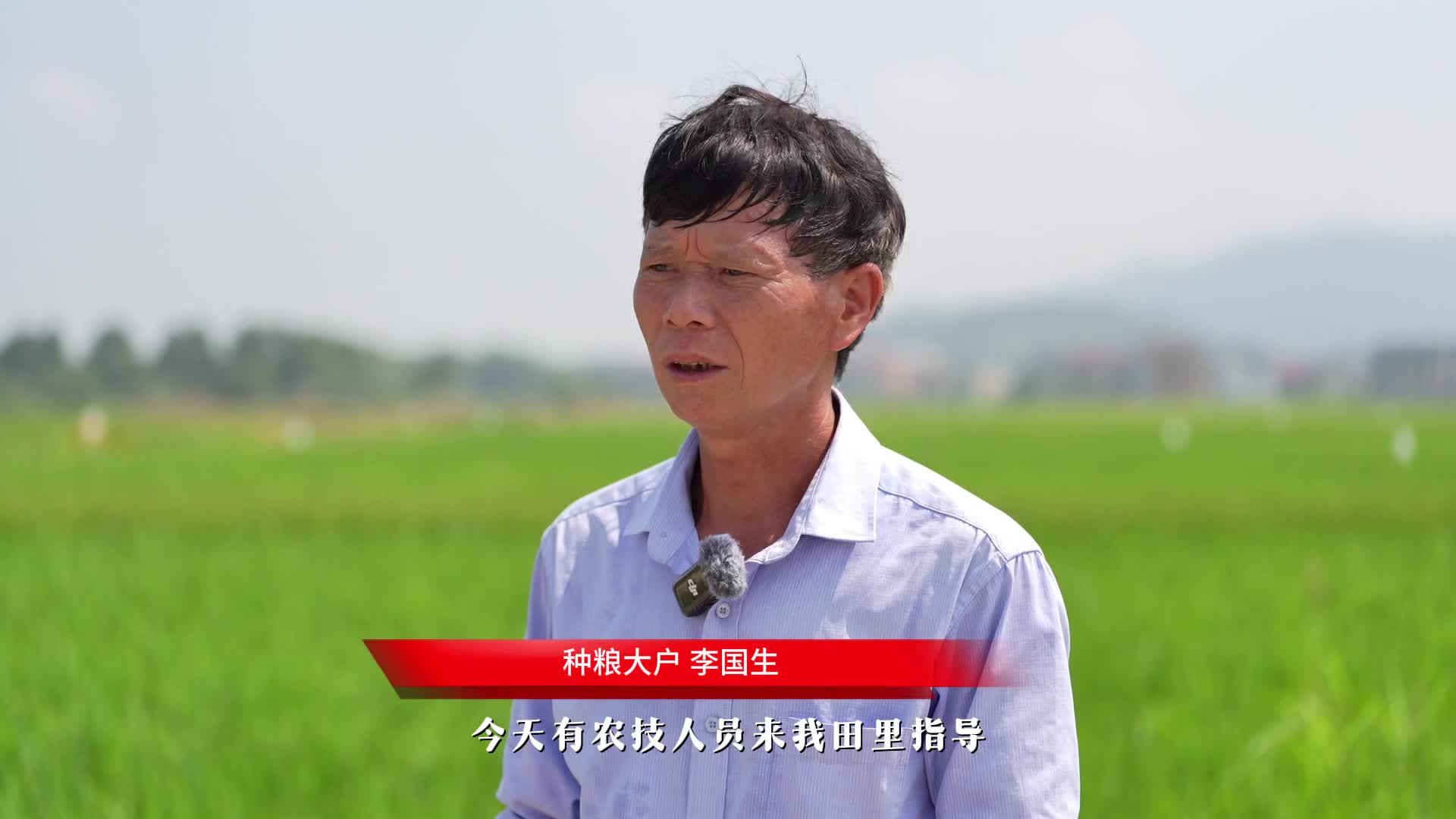 江西峡江全县23万亩早稻把脉问诊  确保粮食稳产丰收
