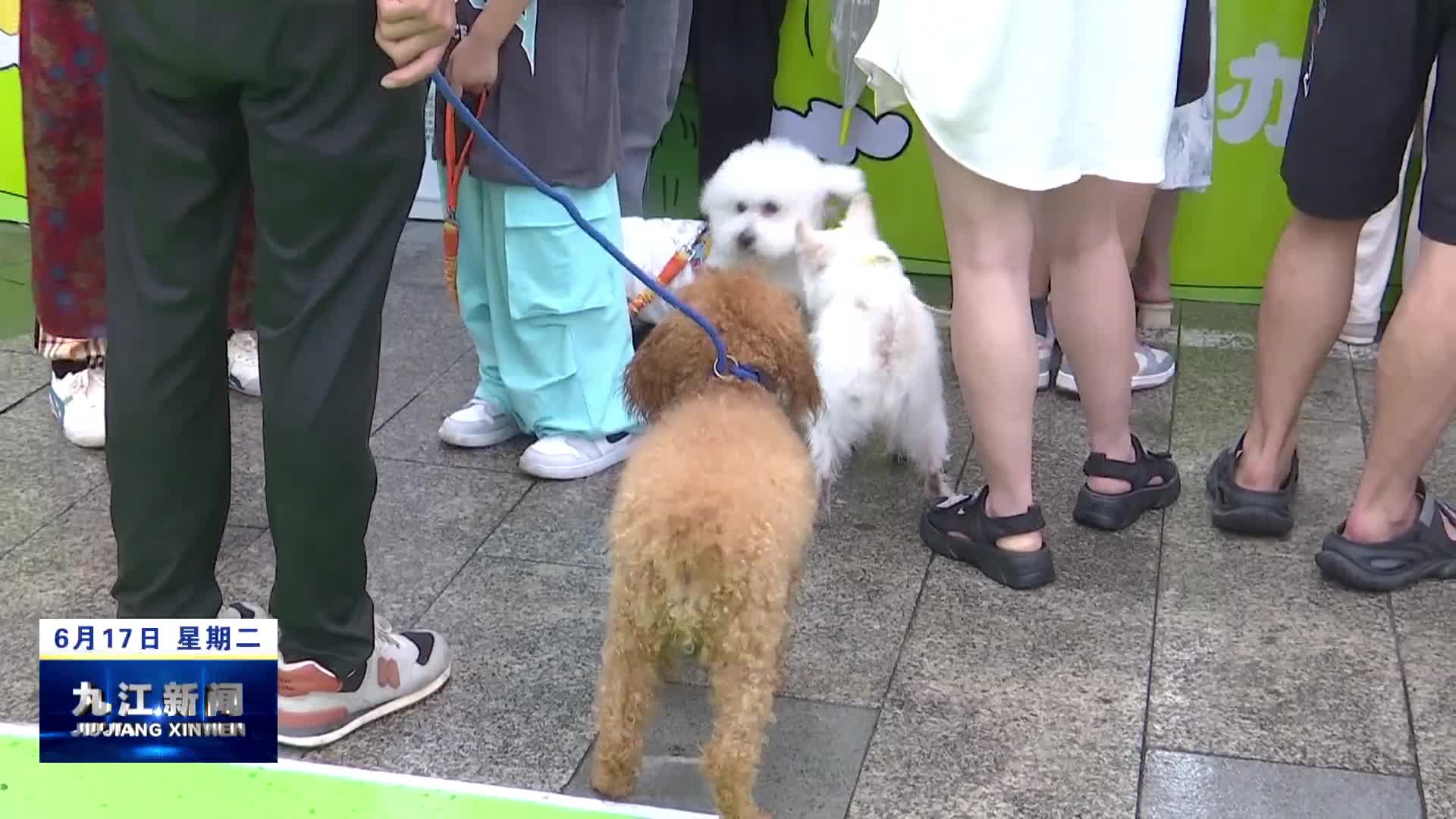 “犬立新风·文明游园会”活动举办