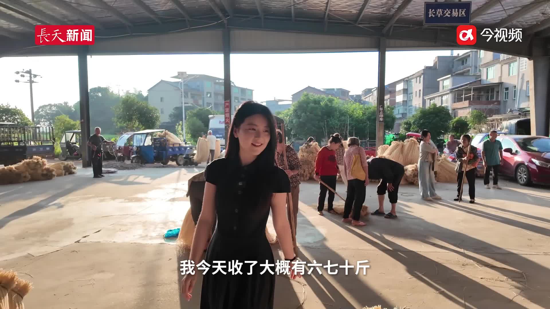 抚州市临川区荣山镇：有一种草全身是宝，它就是灯心草