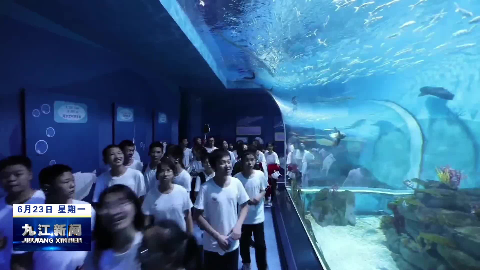 我市推出五大主题旅游线路  解锁夏日限定美好  