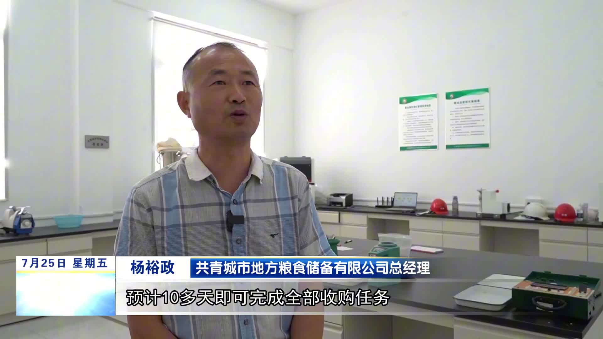 共青城：夏粮收购忙 颗粒归粮仓