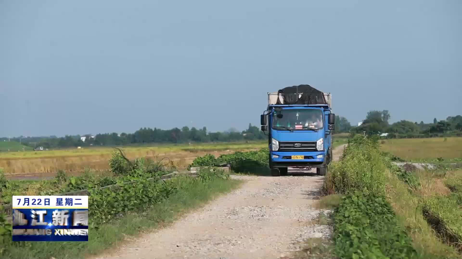 共青城：万亩早稻开镰收割