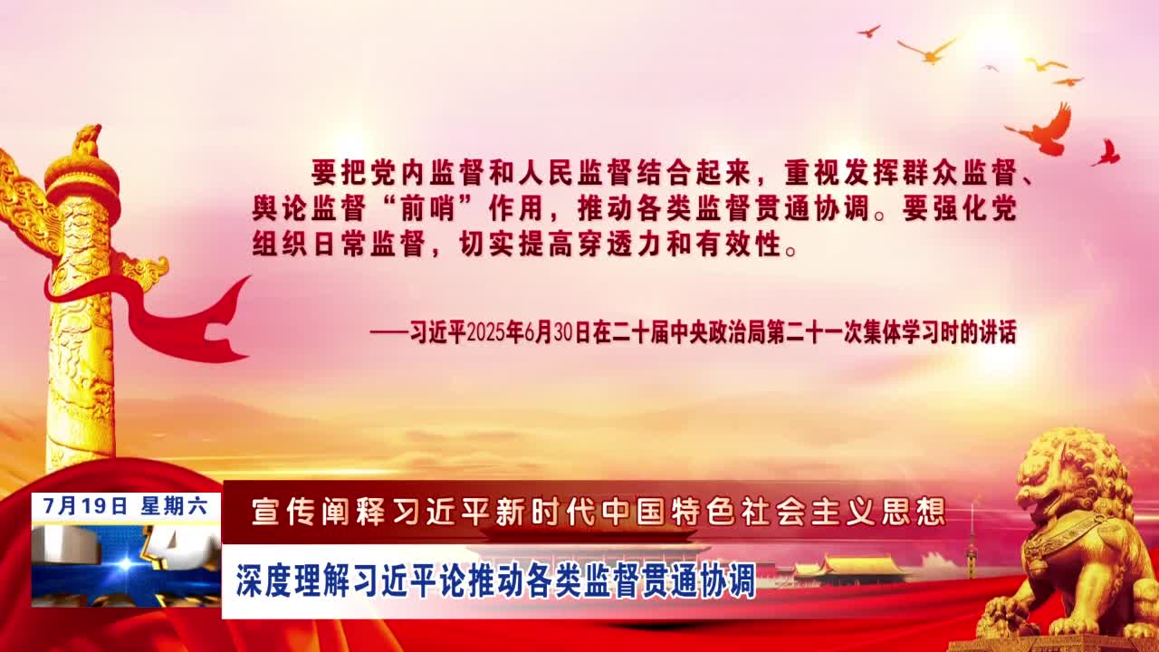 【宣传阐释习近平新时代中国特色社会主义思想】深度理解习近平论推动各类监督贯通协调