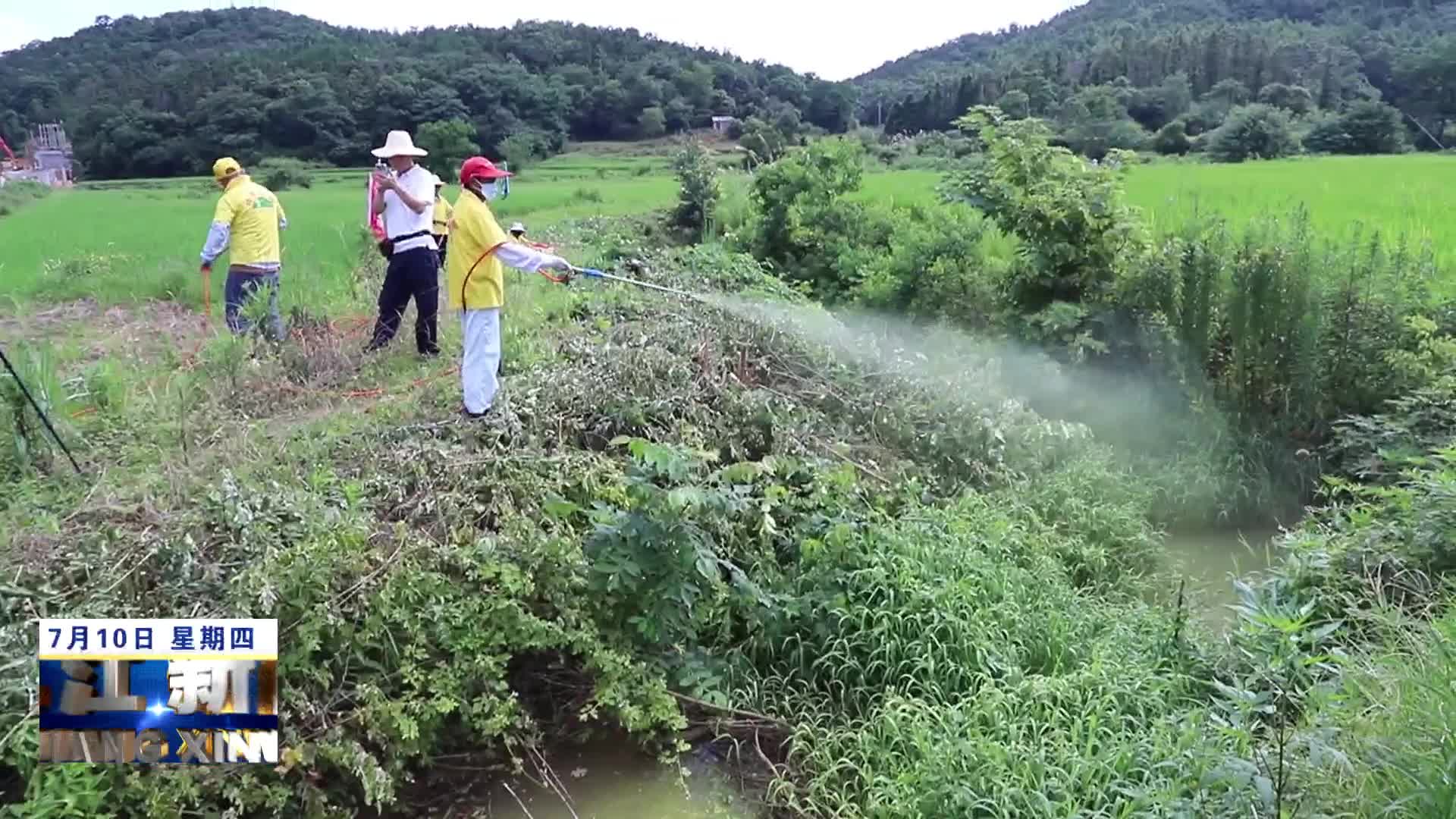 彭泽：打响灭螺攻坚战 织密群众健康防护网
