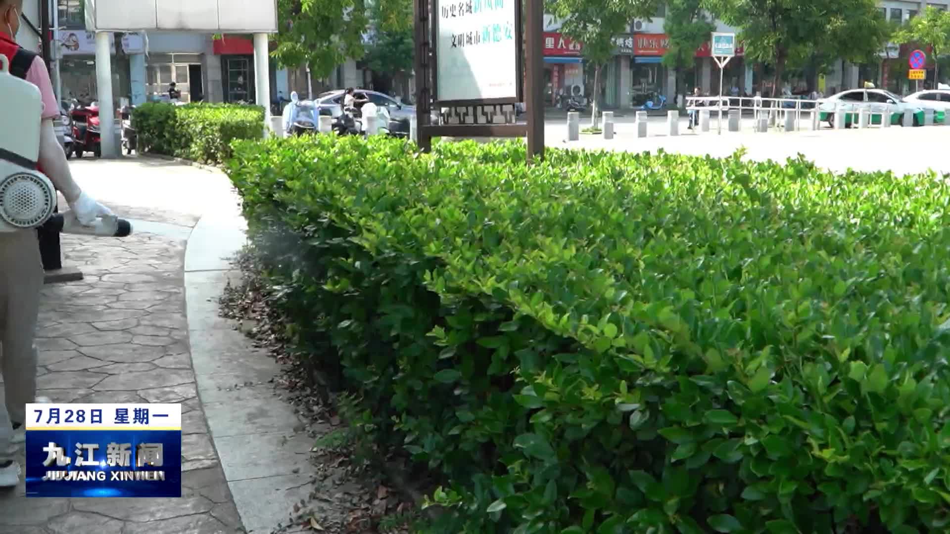 德安：开展防蚊灭蚊行动