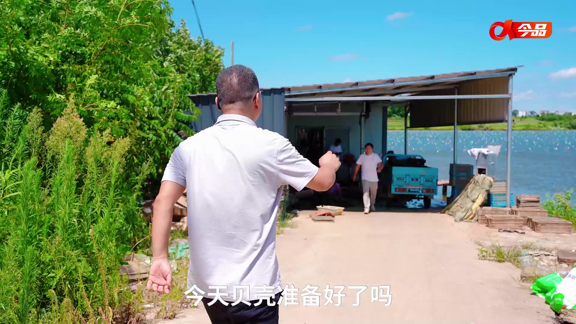 这个小镇把贝壳“玩”出了十个亿
