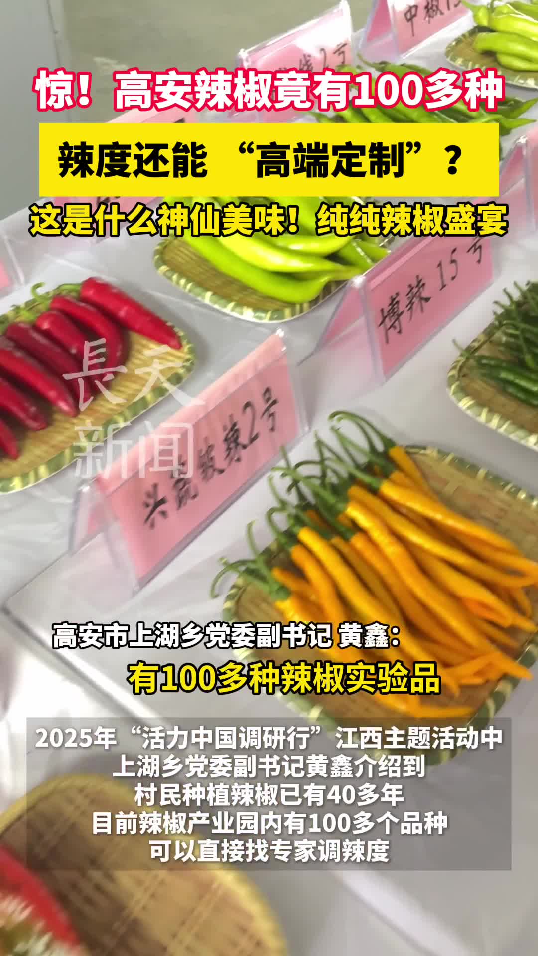 惊！高安辣椒竟有100多种？辣度还能 “高端定制”？这是什么神仙美味！