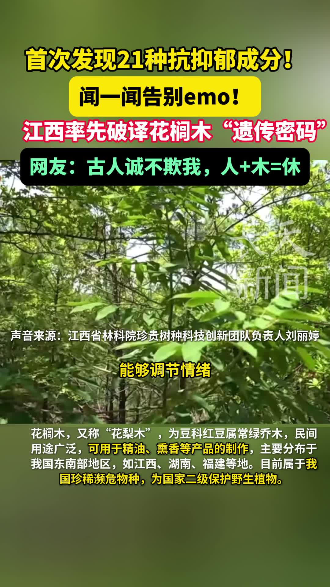 首次发现21种抗抑郁成分！江西率先破译花榈木“遗传密码”