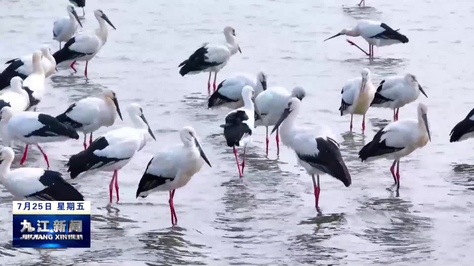 九江市获 “国际湿地城市” 认证授牌