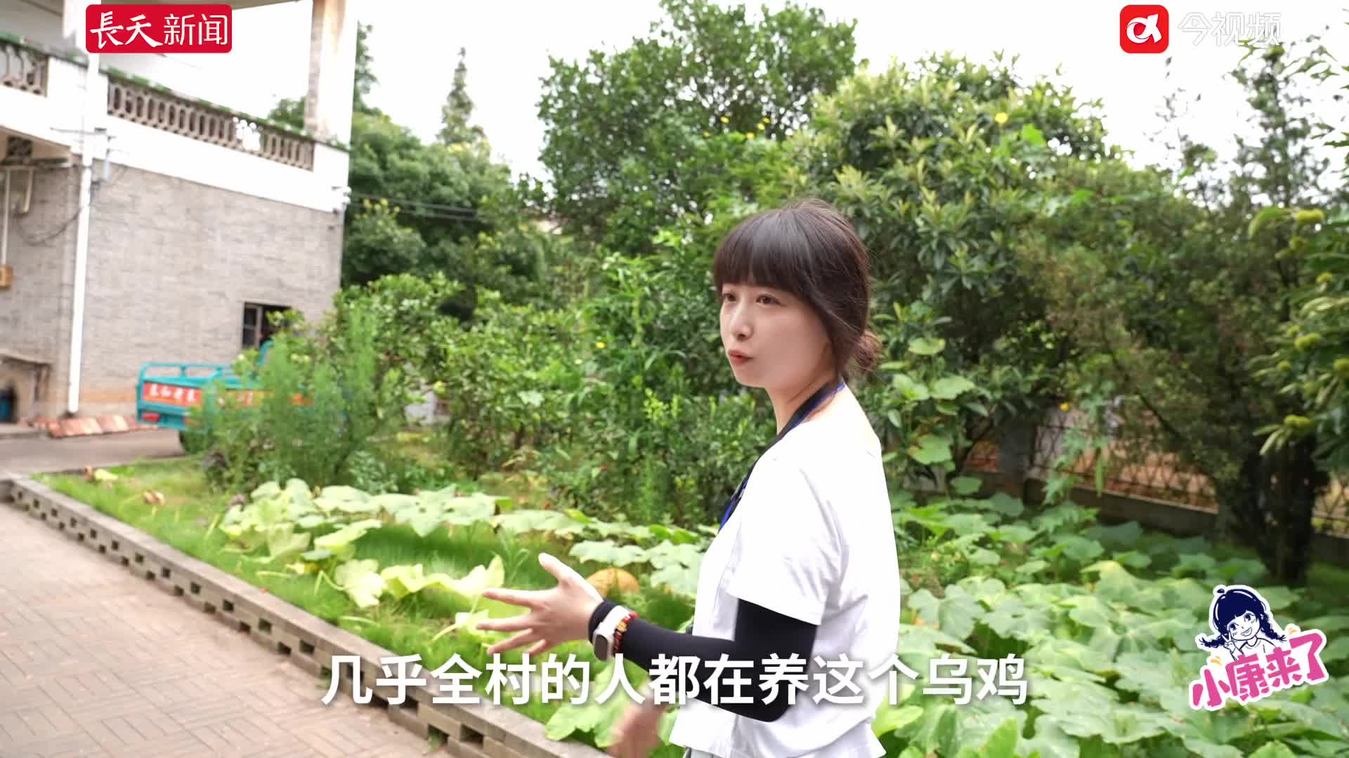 江西红土地如何长出“黄金链”？