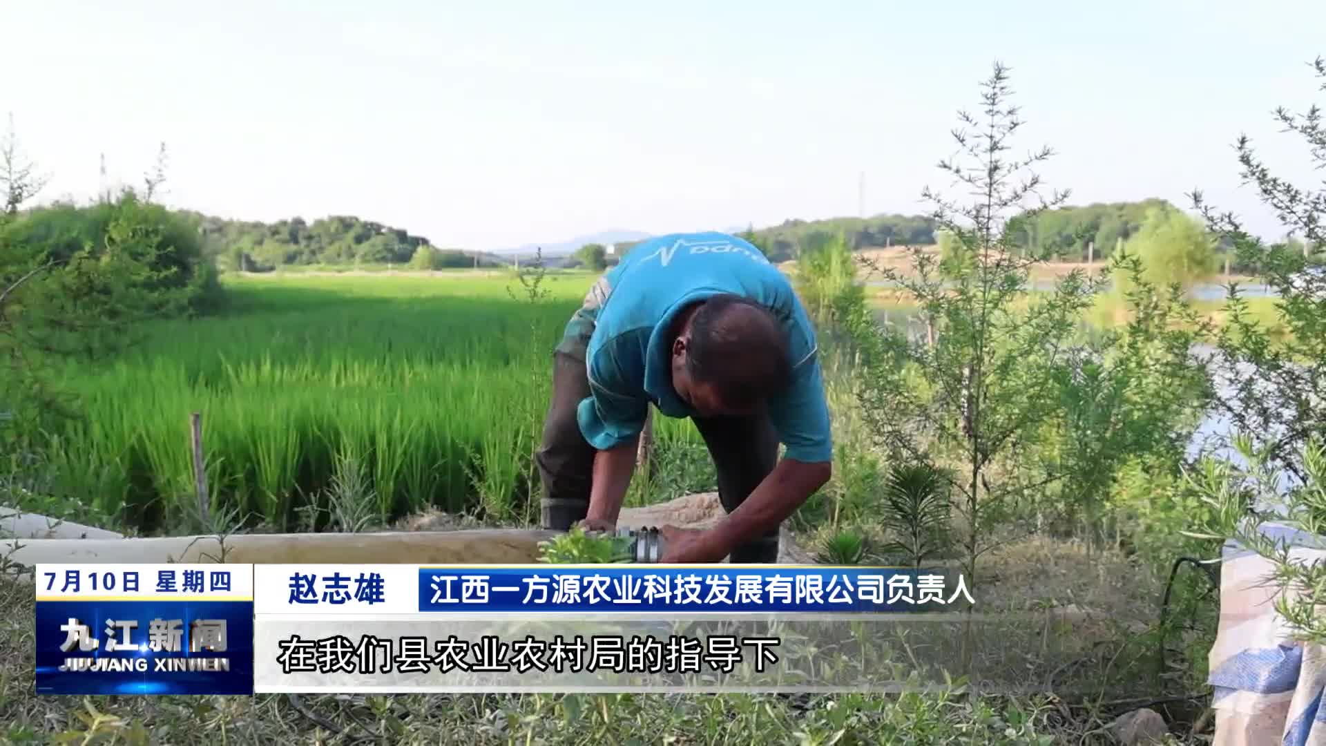 都昌：科学抵御高温干旱天气　全力保障中稻稳产丰收　