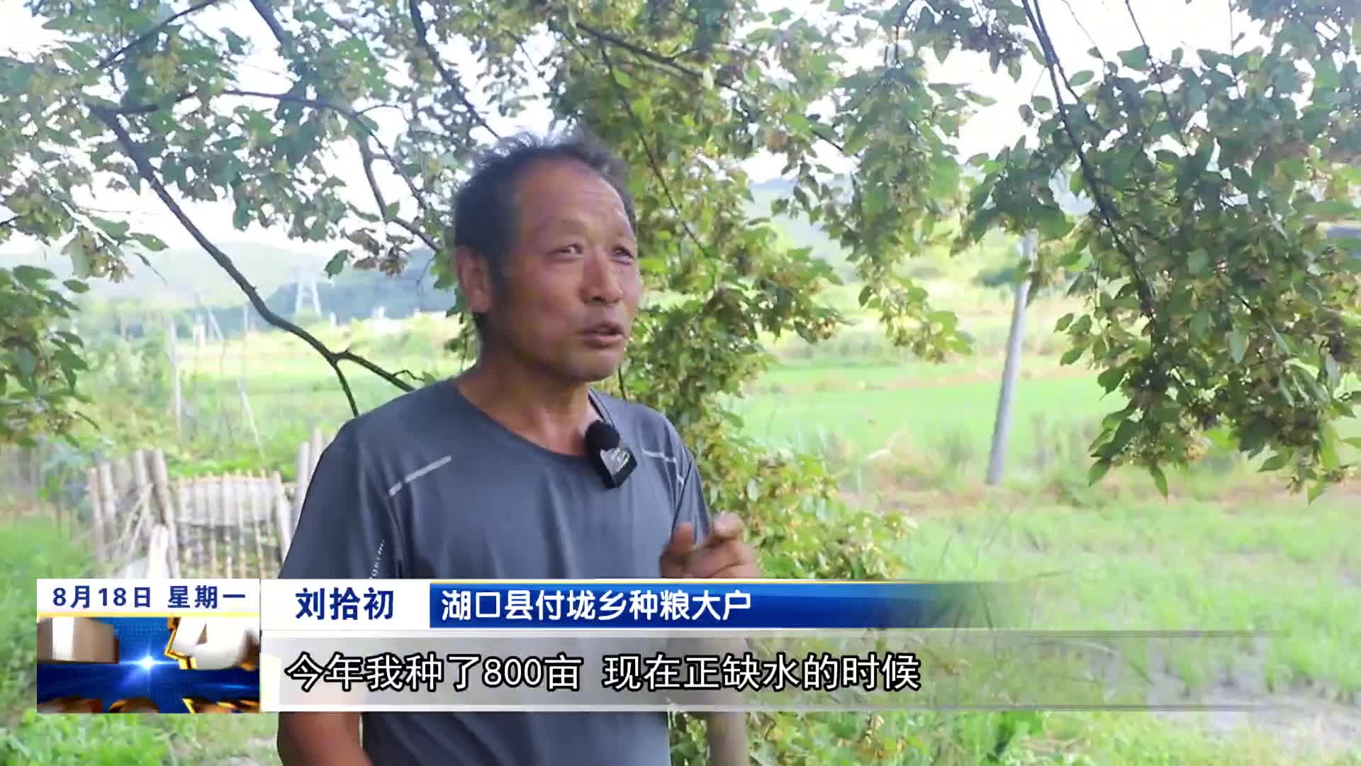 湖口：31座提灌站全线启动抗旱保粮