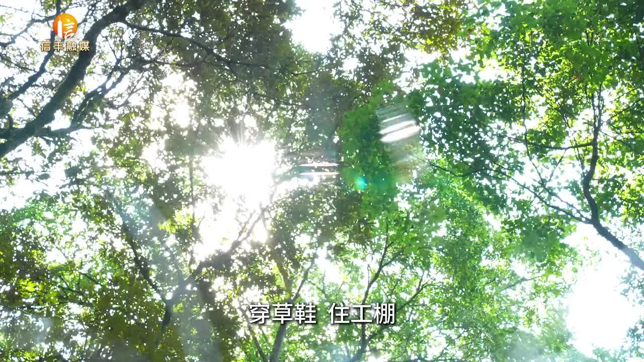 “两山”理念 20 年｜ 值此青绿化金山——信丰金盆山林场三代护林人的坚守