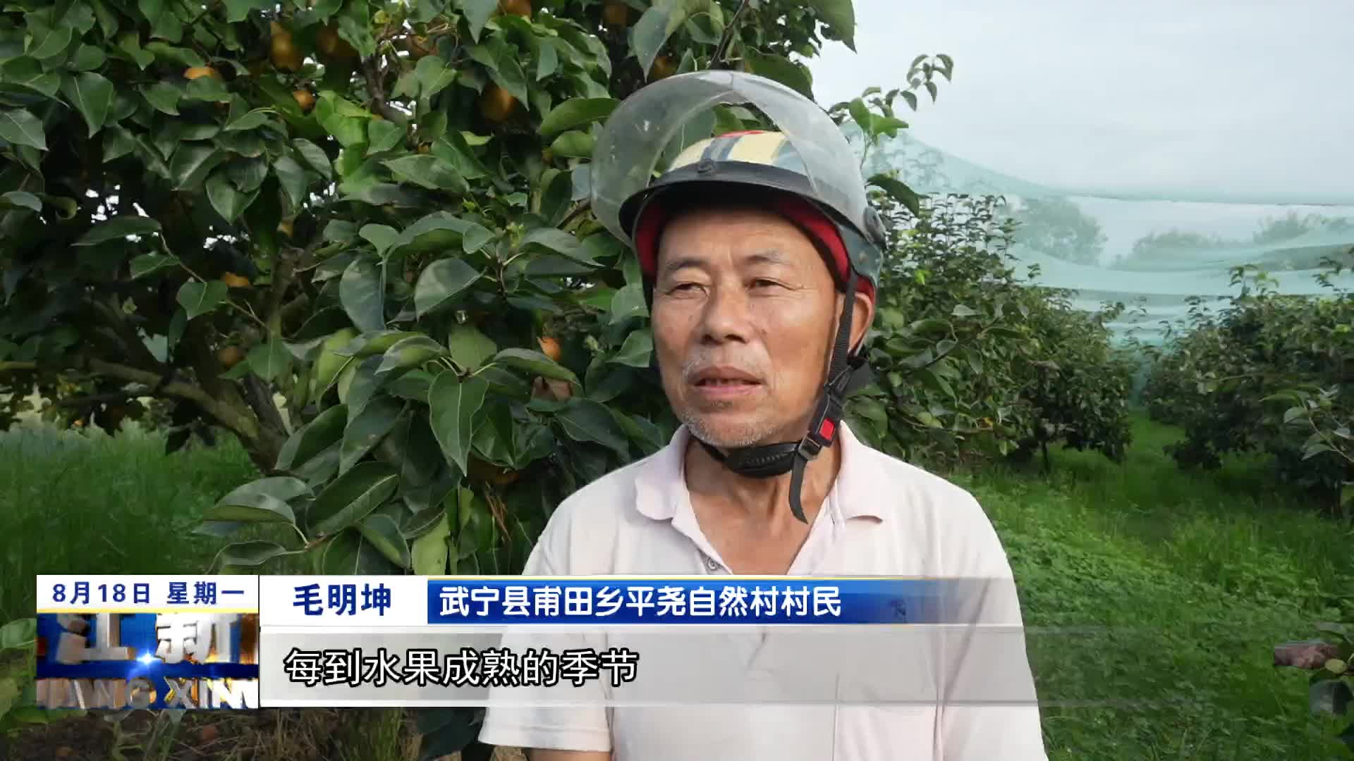 武宁：特色水果产业助力乡村振兴