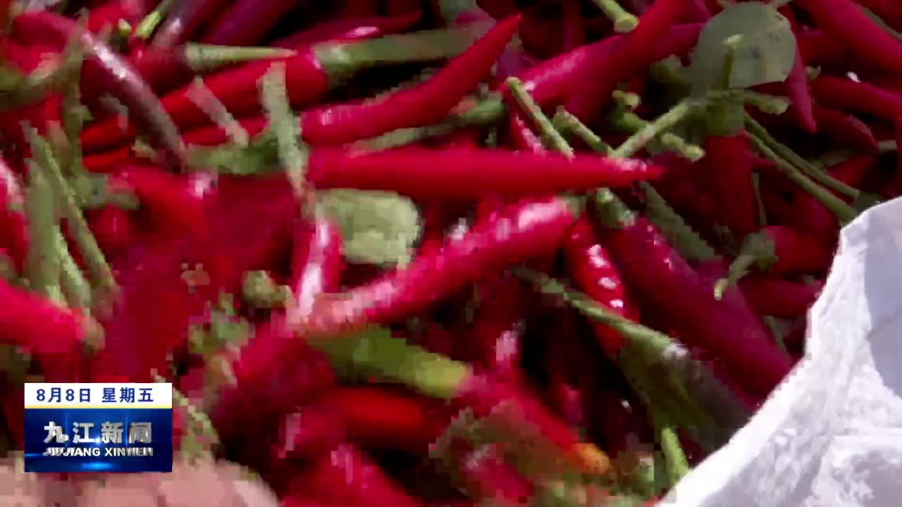 武宁：小辣椒映红“致富路”