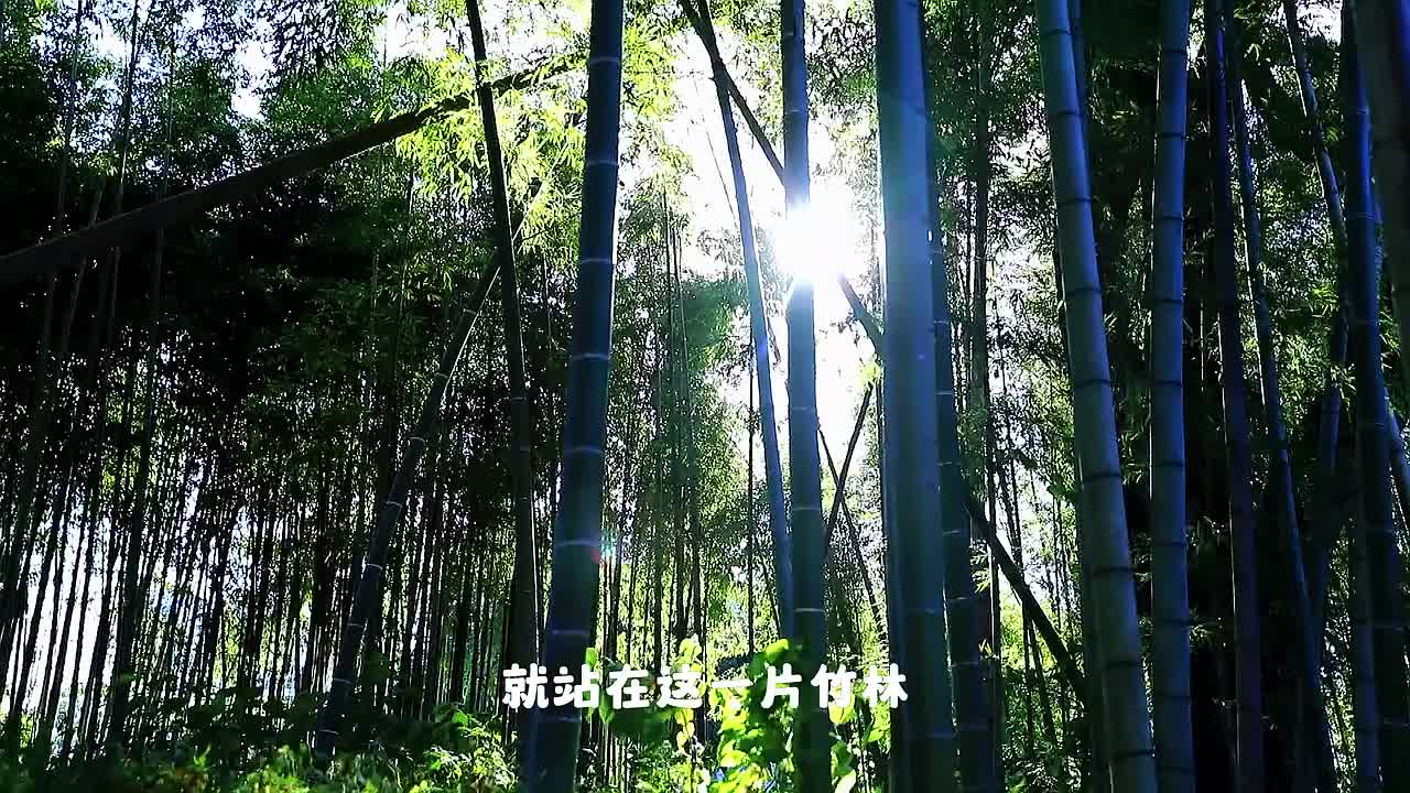 【美丽中国“江西样板”】绿色生态是江西最大财富、最大优势、最大品牌。