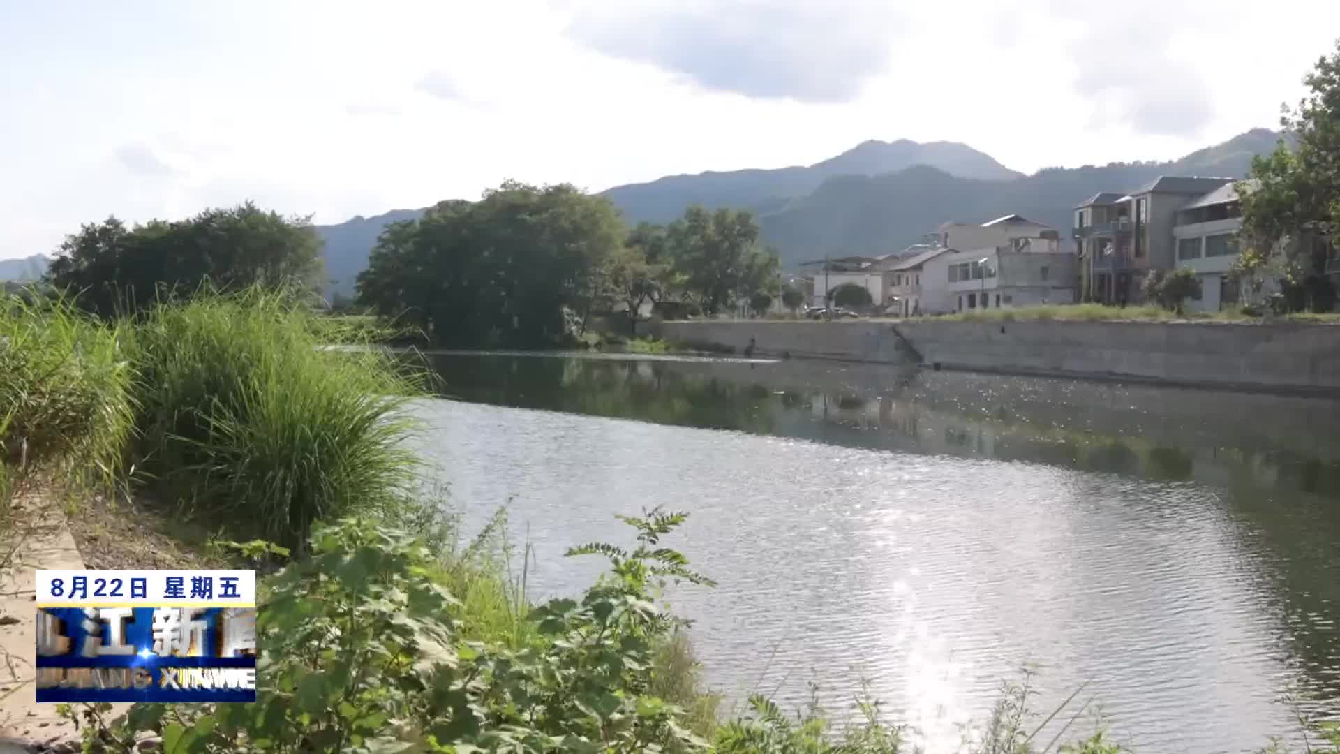 市领导到修水调研督导工作