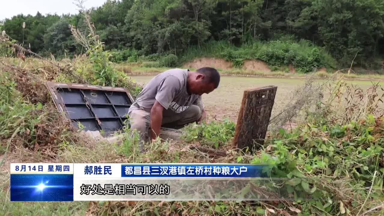 都昌：打通农田灌溉“最后一公里”  助推农业提质增效